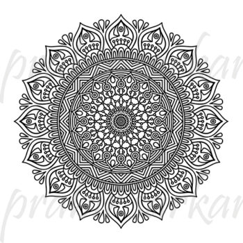 Mandala-Illustration-31